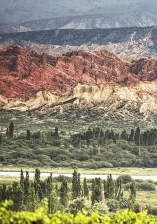 Chañar Punco, el nuevo micro-terroir de los Valles Calchaquíes