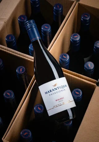 Nuevo Lanzamiento: Marantiqua