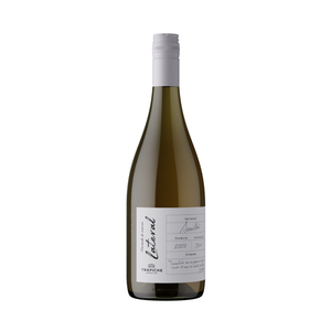 Lateral Semillon Anfora